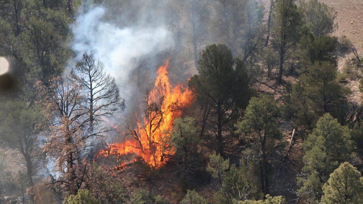 İnsanların Durduk Yere Yangın Çıkarmasına Neden Olan Hastalık ’Piromani’ Nedir, Hangi Belirtileri Gösterir?