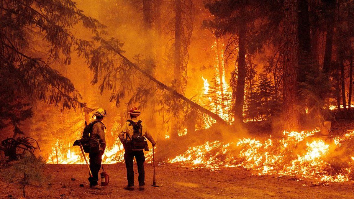 İnsanların Durduk Yere Yangın Çıkarmasına Neden Olan Hastalık ’Piromani’ Nedir, Hangi Belirtileri Gösterir?