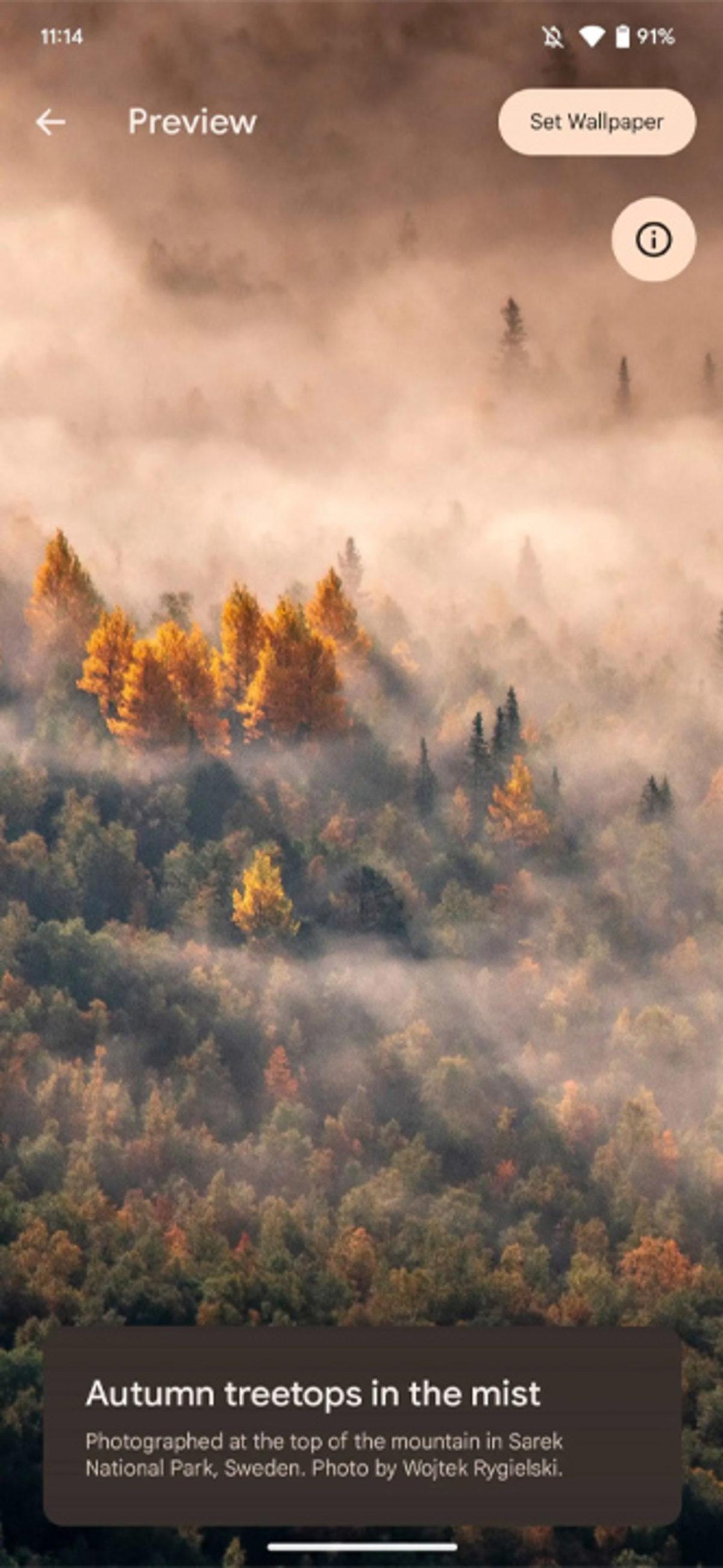 Android 14 Çıktı! İşte Yeni Özellikler ve Güncelleme Alacak İlk Telefonlar