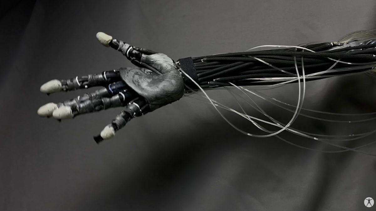 İnsanları Klonlamaya Adeta And İçen Şirket, Ultra Gerçekçi Robotik Kol Geliştirdi