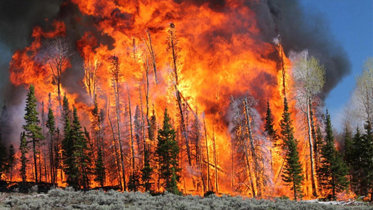 Temiz Havaya Sahip Tek Bir Yer Dahi Kalmadı: Dünya, Son Saatlerini Yaşıyor