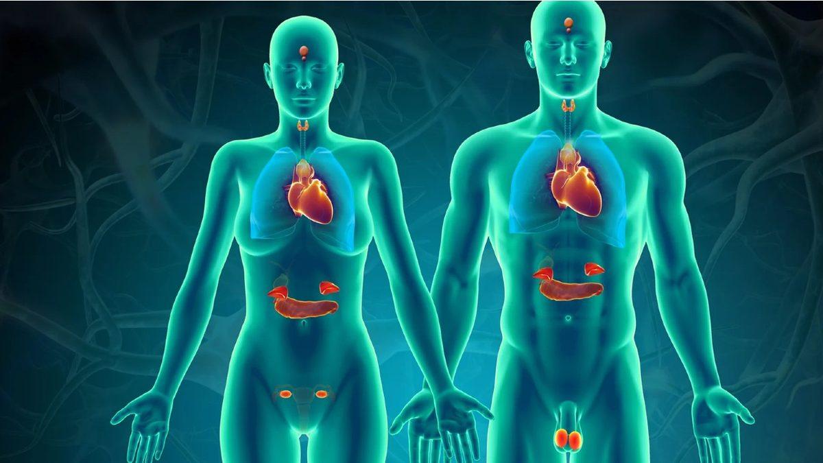 Bilime Göre Mastürbasyonun Sağlığa Olan Faydaları ve Zararları Neler?