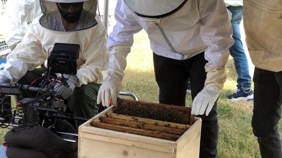Propolis Yapan Arılar Kovana Sokulan Özel Bir Kamera Sayesinde İlk Kez Bu Kadar Yakından Görüntülendi