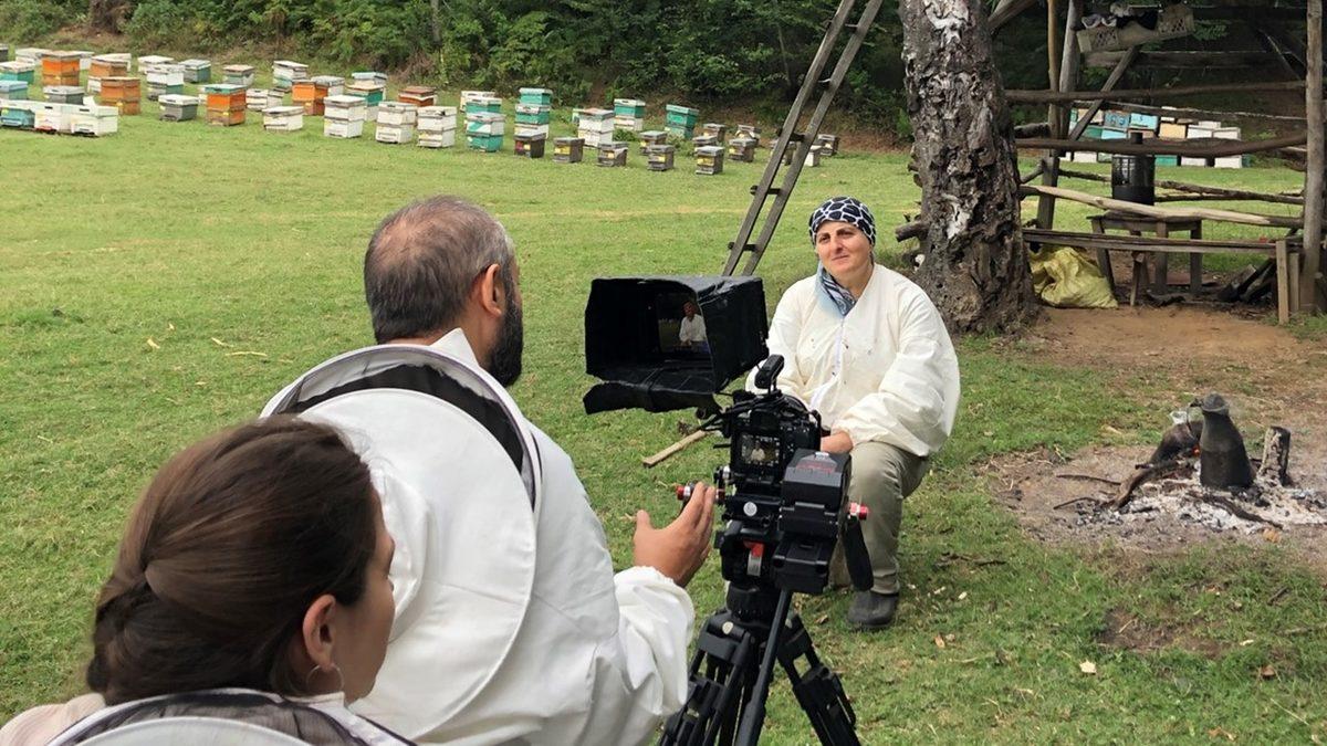 Propolis Yapan Arılar Kovana Sokulan Özel Bir Kamera Sayesinde İlk Kez Bu Kadar Yakından Görüntülendi