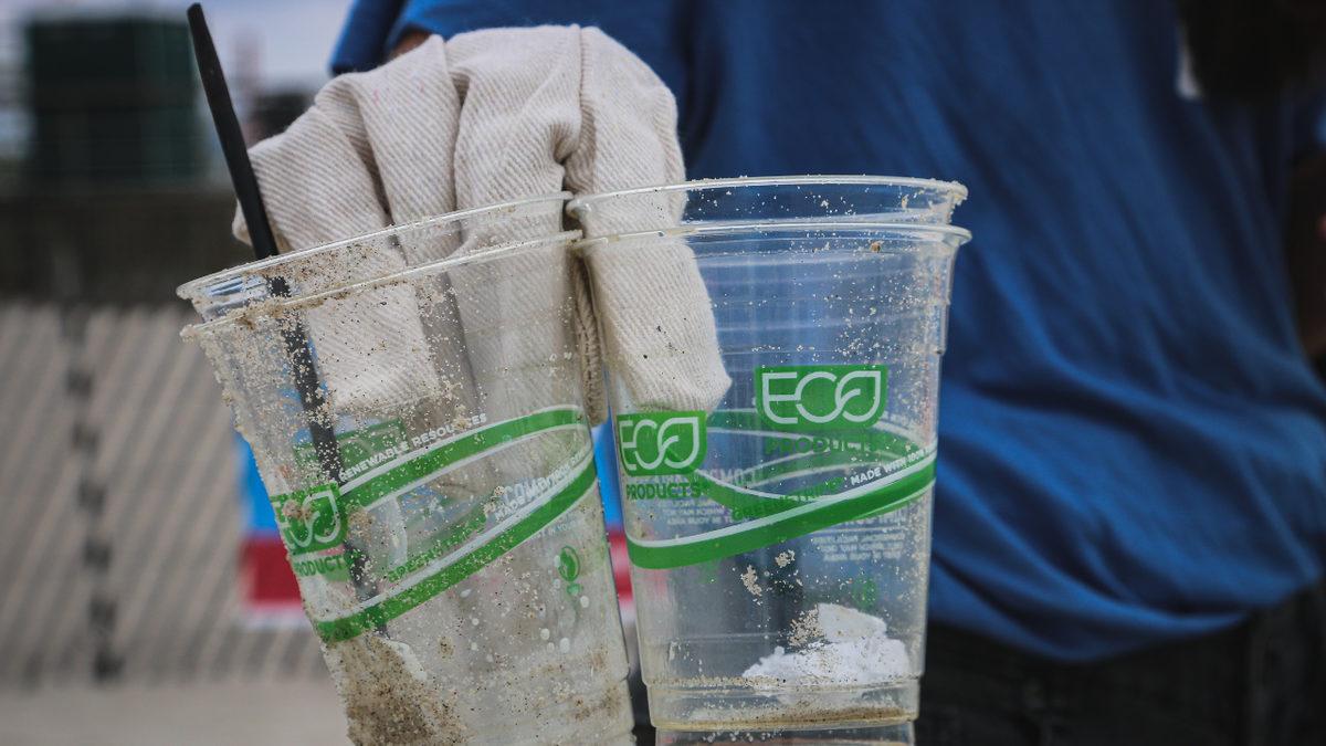 Dikkat Etmezsek Cebimizi de Dünyamızı da Soyup Soğana Çevirebilecek Tehlike: Greenwashing