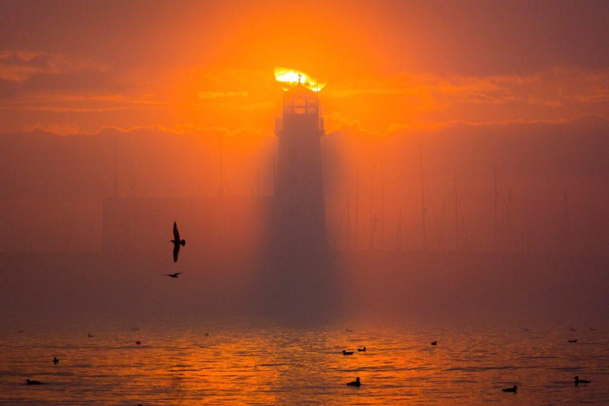 2021 Yılının ‘En İyi Tarihi Fotoğraf Ödülleri’ Sahiplerini Buldu