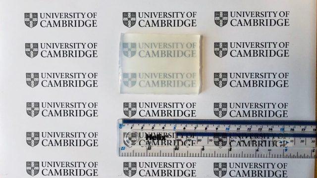 ‘Süper Jöle’ ile Tanışın: Bilim İnsanları Yumuşak Fakat Oldukça Dayanıklı Bir Malzeme Geliştirdi