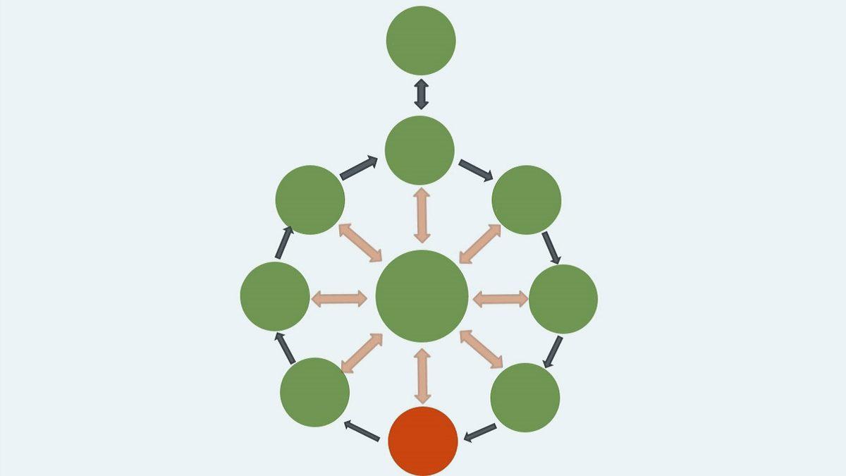 Uygulama Geliştirmek İçin Başvurabileceğimiz Framework Nedir, Ne İşe Yarar, Türleri Nelerdir?