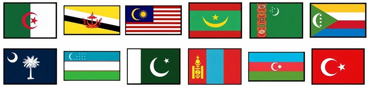 Bazı Bayraklarda Hilalin Farklı Yönlere Bakmasının 