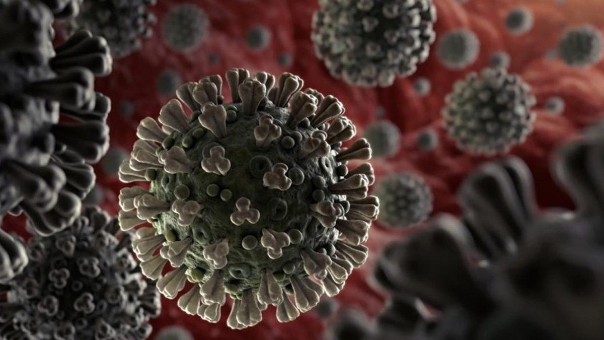 Nur Topu Gibi Yeni Varyantımız Oldu: DSÖ Yeni COVID-19 Varyantının Adını ‘Omicron’ Koydu