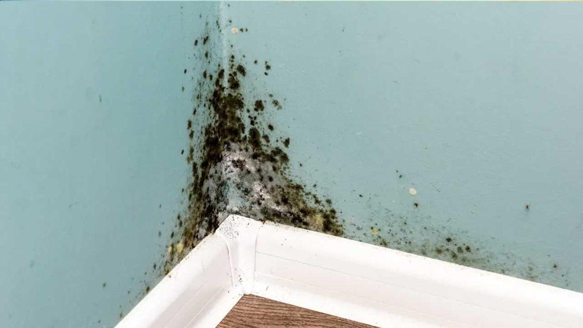 Her Gün Bulunduğunuz Kapalı Ortamlarda Hâlsiz ve Depresif Hissediyorsanız “Hasta Bina Sendromu”na Yakalanmış Olabilirsiniz!