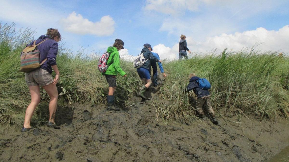 Deniz Kızını Esir Aldığı İçin Bataklığa Gömüldüğü Söylenen ’Saeftinghe’ Şehrinin Tuhaf Hikayesi