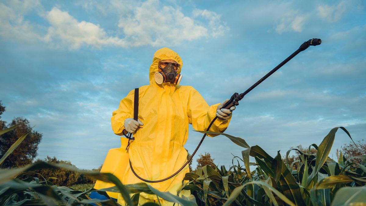 Ülkemizdeki Pazarlarda Satılıyor: Türkiye’den Avrupa’ya Satılan Meyveler ’Zehirli Tarım İlacı’ Sebebiyle İade Ediliyor