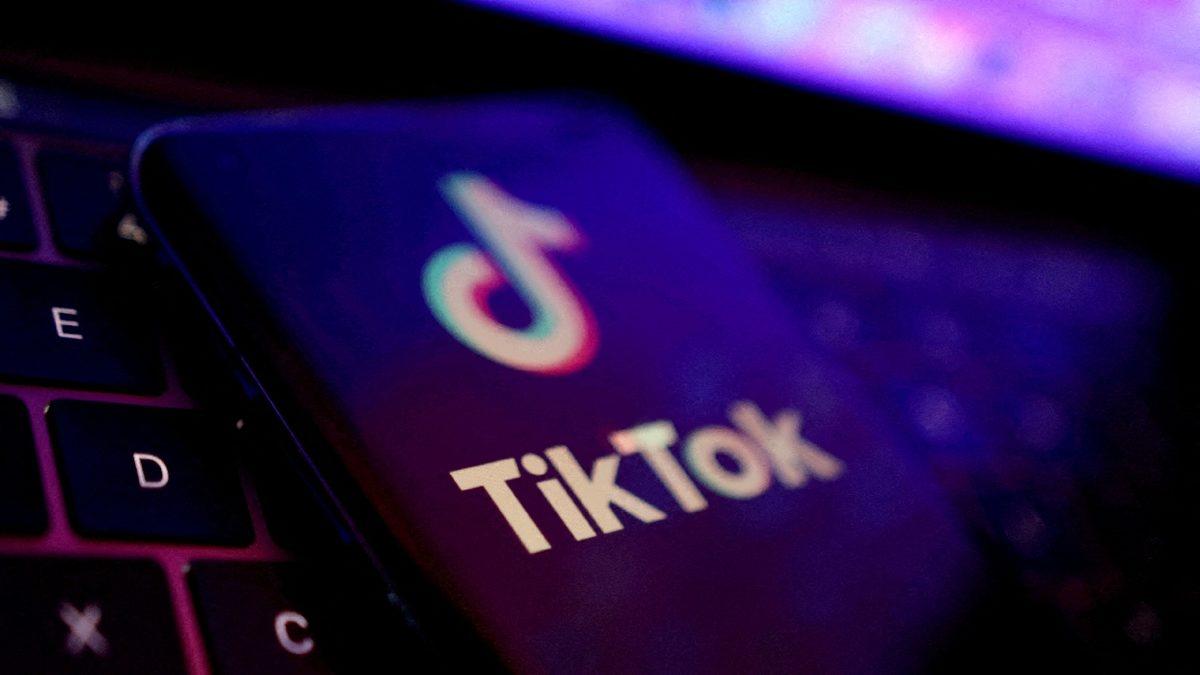 Fransa da Hükümet Çalışanlarına TikTok’u Yasaklayan Ülkeler Arasına Girdi (Twitter ve Netflix de Var)