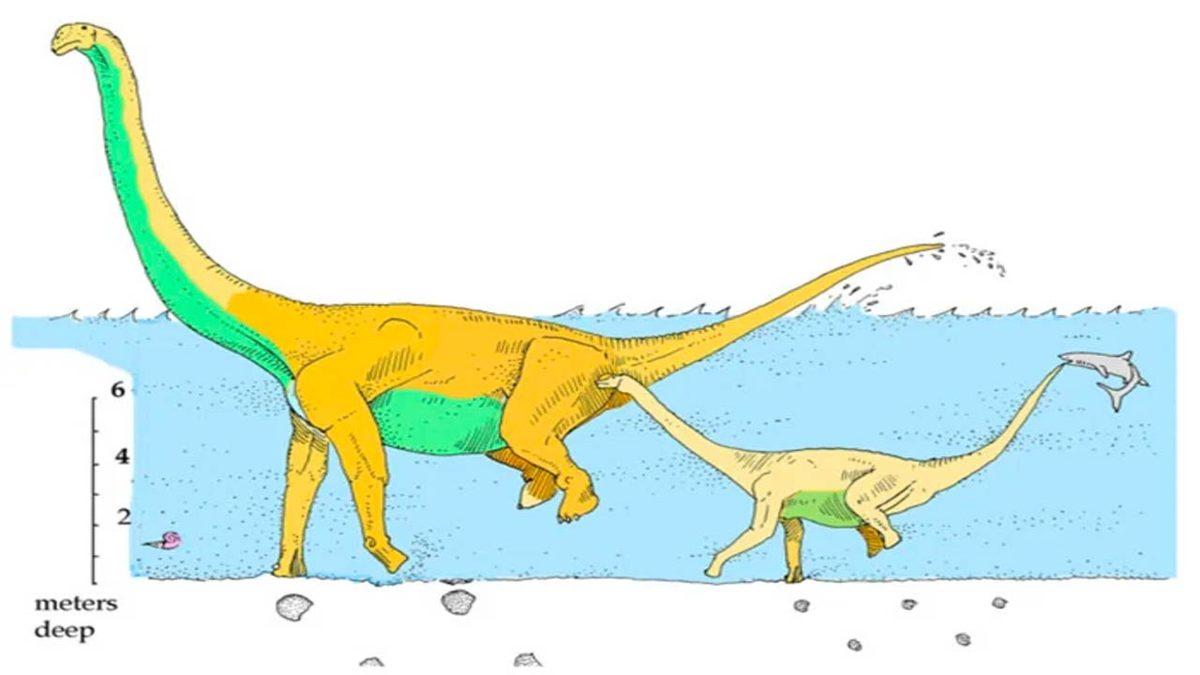 Bazı Dinozor Türlerinin Yalnızca Ön Ayakları Üzerinde Yürüdüğü Ortaya Çıktı