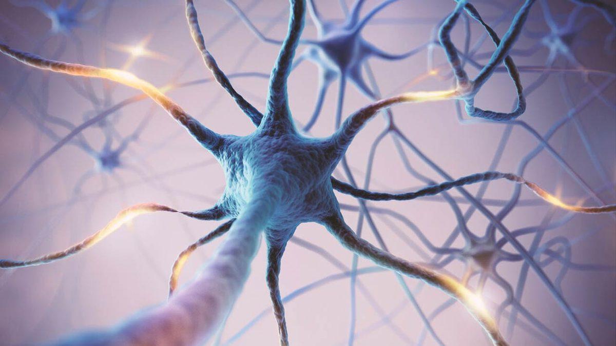 Siyah Giyen Adamlar Gerçek Oluyor: Bilim İnsanları Hafızayı Kontrol Etmenin Bir Yolunu Buldu