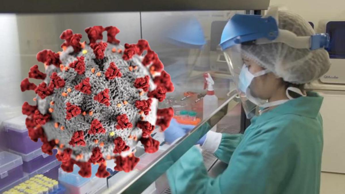 Omicron Varyantının İlk Semptomları Belli Oldu: Diğer Varyantlardan Oldukça Farklı