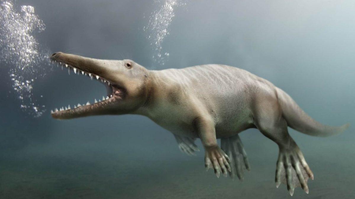 Evrime İnanmayan Biriyseniz Bu Devasa Elin Neye Ait Olduğunu Öğrenince Tüm Ön Yargınız Kırılacak!