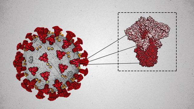 Tüm Dünyada Paniğe Neden Olan Omicron Varyantının İlk Görüntüsü Paylaşıldı