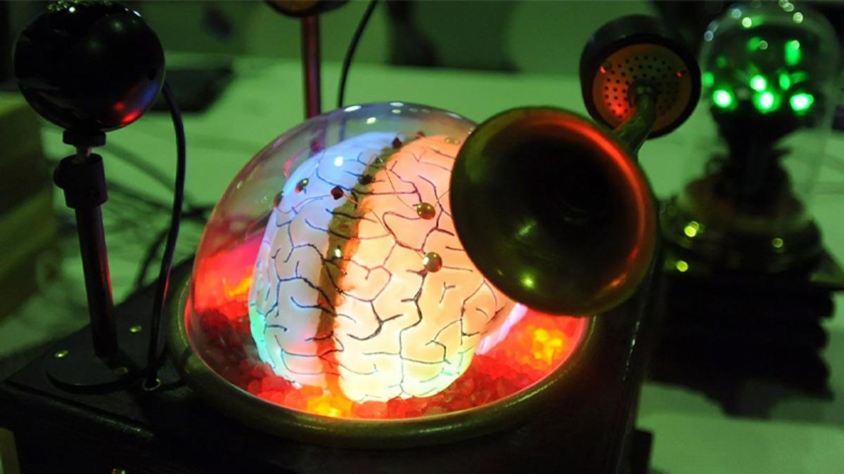 Tarihte Bir İlk: İnsan Beyninden Alınan Bir Parça, 12 Saat Boyunca Dışarıda Canlı Tutuldu