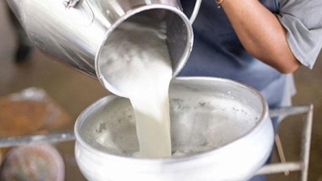 Süt, Yoğurt ve Peynire Dev Zam Kapıda: Çiğ Sütün Litre Fiyatına %47 Zam Geldi