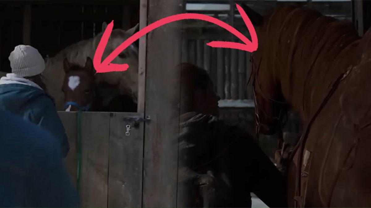 The Last Of Us’ın Birinci Sezonunda En Sıkı Hayranların Bile Gözünden Kaçan 10 Detay