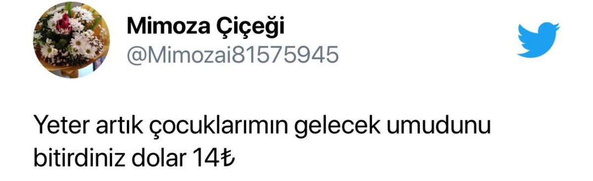 Dolar Yeni Bir Rekor ile 14 TL’nin Üzerine Çıktı: İşte Sosyal Medyadan Gelen Tepkiler