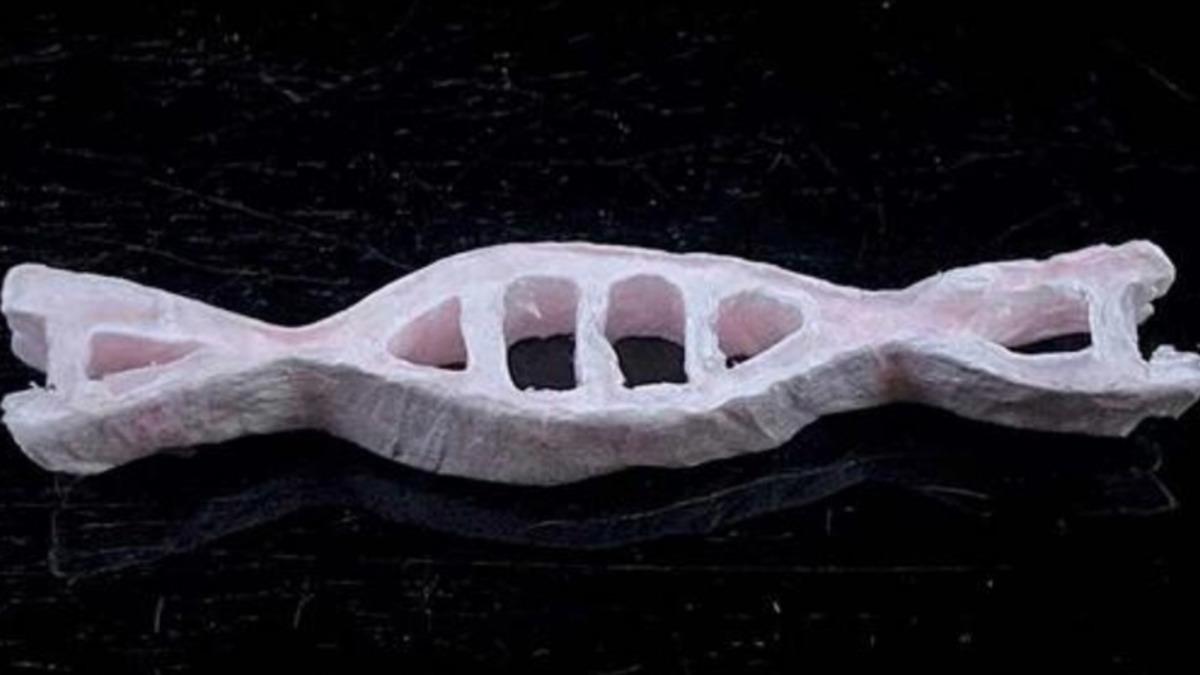 Kusurları Olsa da Umut Vadediyor: Spermden Çevre Dostu Plastik Üretildi