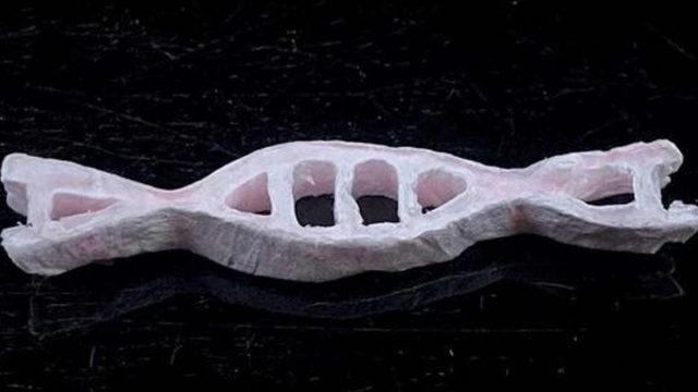 Kusurları Olsa da Umut Vadediyor: Spermden Çevre Dostu Plastik Üretildi