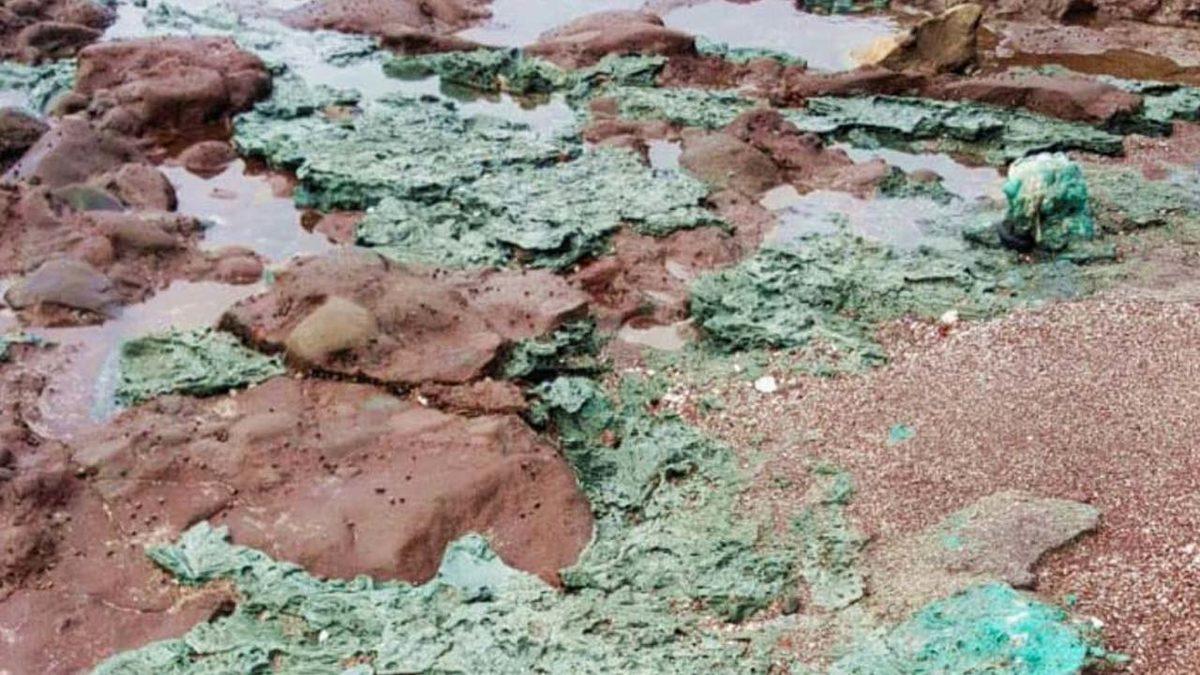 Tek Bir İnsanın Bile Yaşamadığı Adada ’Plastikten Kayalar’ Bulundu