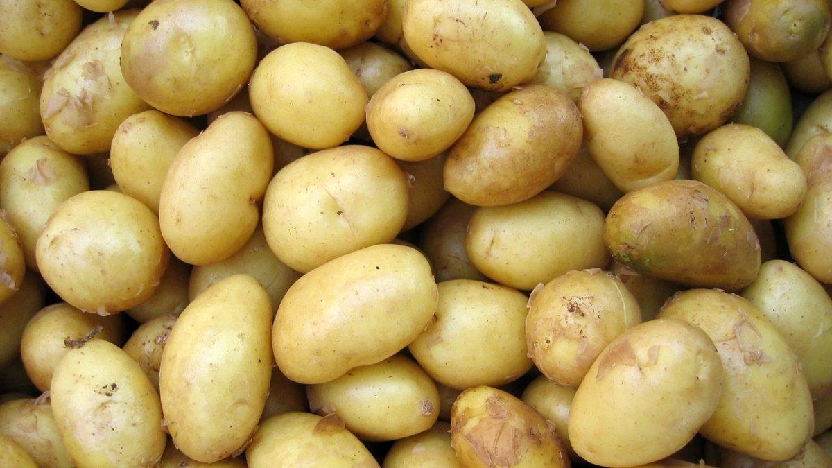 Bugün Mutfaktan Eksik Olmayan Bildiğiniz Patates, Savaşlara ve Kıtlıklara Neden Olup Dünyanın Kaderini Nasıl Değiştirdi?