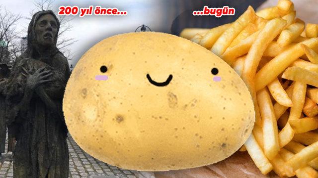 Bugün Mutfaktan Eksik Olmayan Bildiğiniz Patates, Savaşlara ve Kıtlıklara Neden Olup Dünyanın Kaderini Nasıl Değiştirdi?