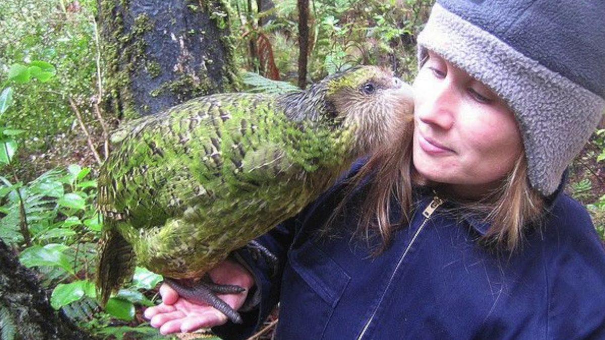 Taklit Yeteneğiyle İnsanı Büyüleyen Papağanlar Hakkında 10 İlginç Bilgi: Bazılarına İnanmakta Güçlük Çekeceksiniz!