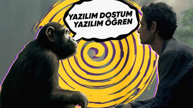 Yazılım Dillerini Öğrenmeye Başlamayı Düşünüyorsanız Daha Yolun Başındayken Bu Basit Hataları Yapmayın!