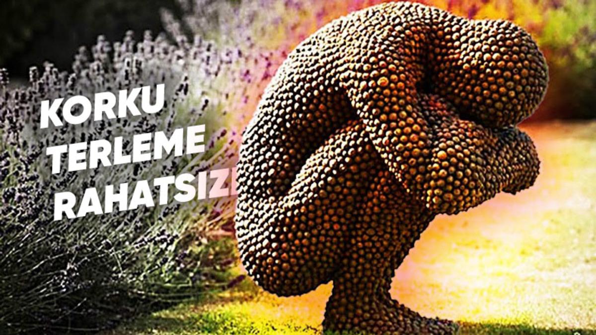 Bir Bal Peteği Görmenin Bile Kabusa Dönüştüğü ‘Delik Korkusu’ Tripofobi Nedir, Neden Olur?