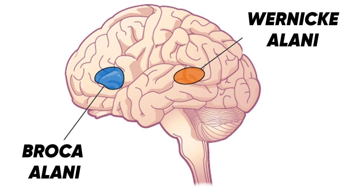 Bu Başlığı Okurken Kafanızın İçindekileri Duymanıza Neden Olan 
