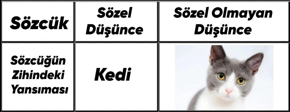 Bu Başlığı Okurken Kafanızın İçindekileri Duymanıza Neden Olan 