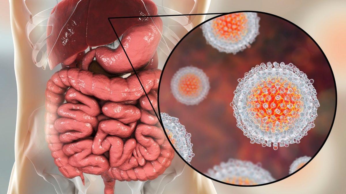 Hepatit B ile ‘Mücadele Etmek İçin Ürettiğimiz Antikor’ Anti HBs Nedir, Kaç Olmalı?