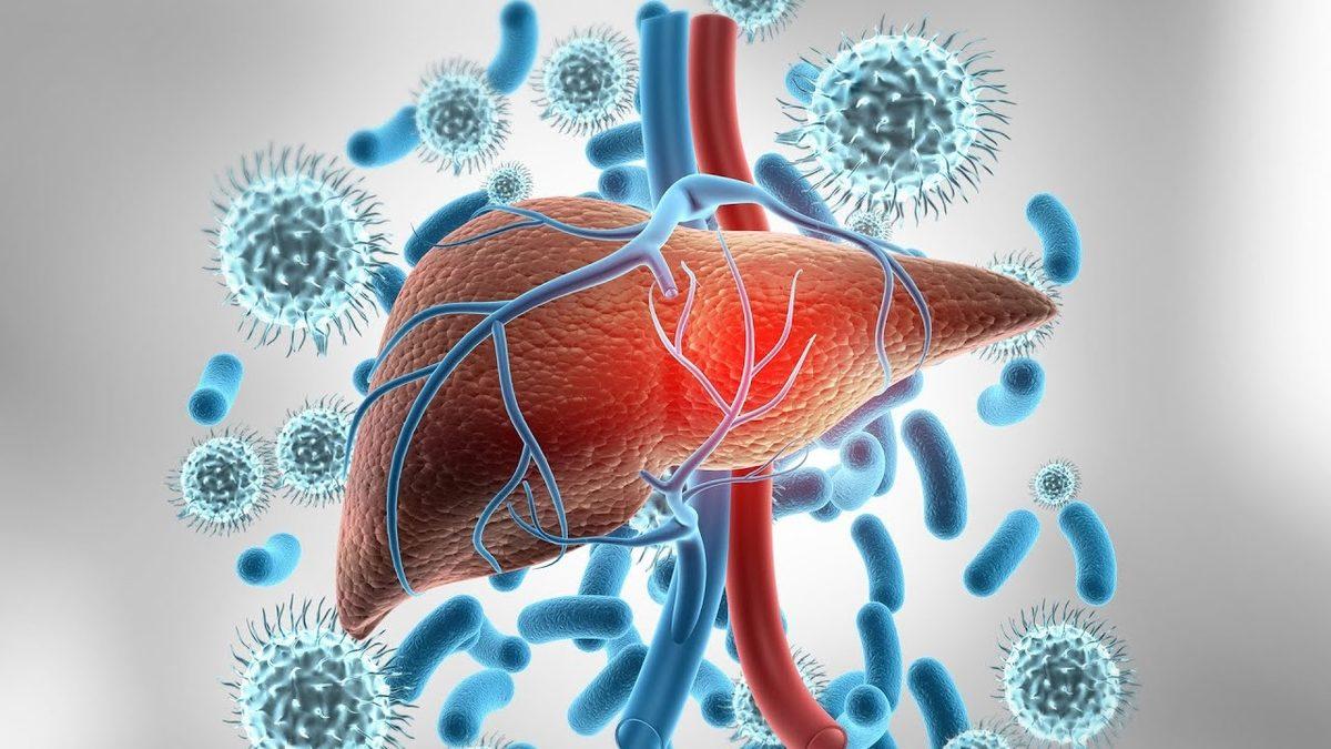 Hepatit B ile ‘Mücadele Etmek İçin Ürettiğimiz Antikor’ Anti HBs Nedir, Kaç Olmalı?