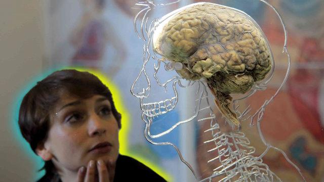 Bir Şey Unuttuğumuzu Fark Etsek Bile Neyi Unuttuğumuzu Neden Hatırlamıyoruz?