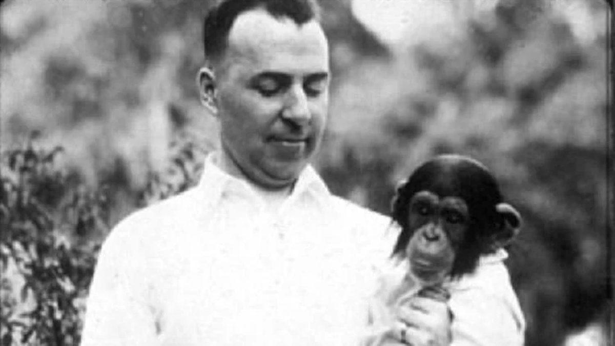 Tarihin En Ürpertici Deneylerinden Biri: Şempanzeyle Kardeş Olarak Büyütülen ve Gittikçe Ona Benzeyen Bebek