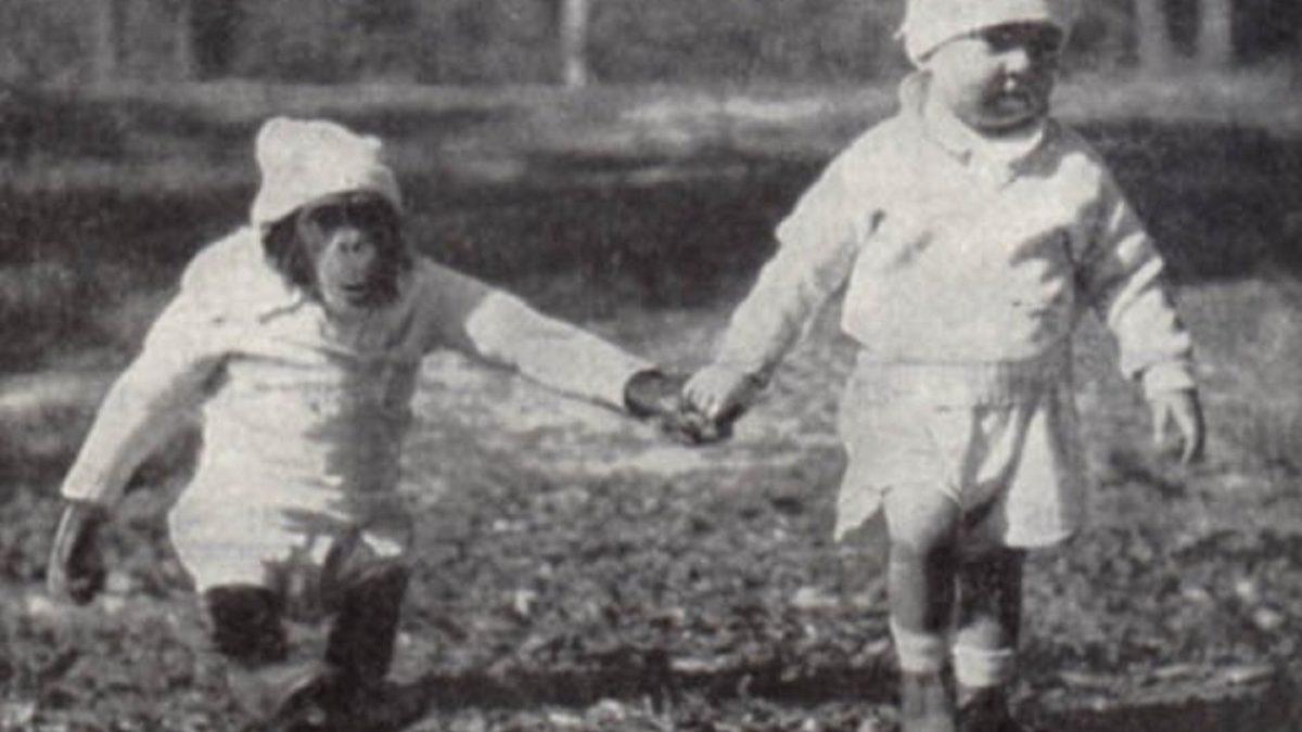 Tarihin En Ürpertici Deneylerinden Biri: Şempanzeyle Kardeş Olarak Büyütülen ve Gittikçe Ona Benzeyen Bebek