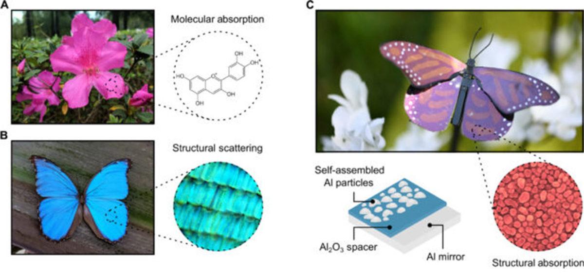 Dünyanın En ’Hafif’ Boyası Üretildi: 1 Kilo Boya ile 20’den Fazla Ev Boyanabiliyor!