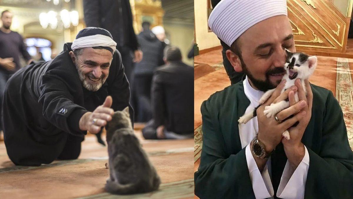 Turistlerin Bile Dikkatini Çekiyor: Türkler Olarak Hayvanları Neden Bu Kadar Çok Seviyoruz?