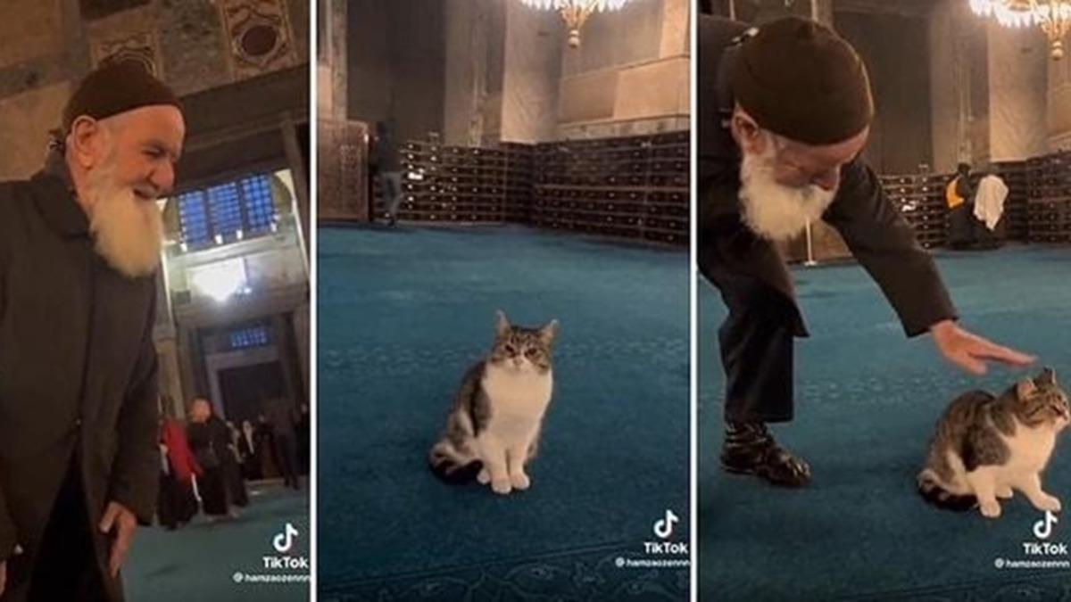 Turistlerin Bile Dikkatini Çekiyor: Türkler Olarak Hayvanları Neden Bu Kadar Çok Seviyoruz?