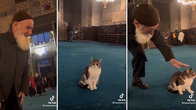 Turistlerin Bile Dikkatini Çekiyor: Türkler Olarak Hayvanları Neden Bu Kadar Çok Seviyoruz?