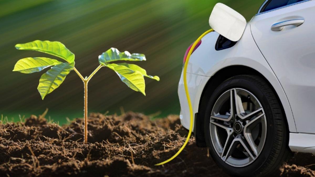 Fotosentezle Elektrikli Otomobillerin Bile Şarj Edilebileceği Keşfedildi (Siz Yine de Fişi Saksıya Takmayın)