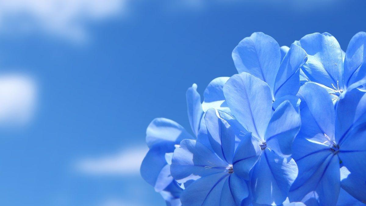 Logolarındaki Renkleri Çok Özel Amaçlarla Seçen Ünlü Markaların Kullandığı Psikolojik Taktikler: Meğer Hiçbir Şey Tesadüf Değilmiş!