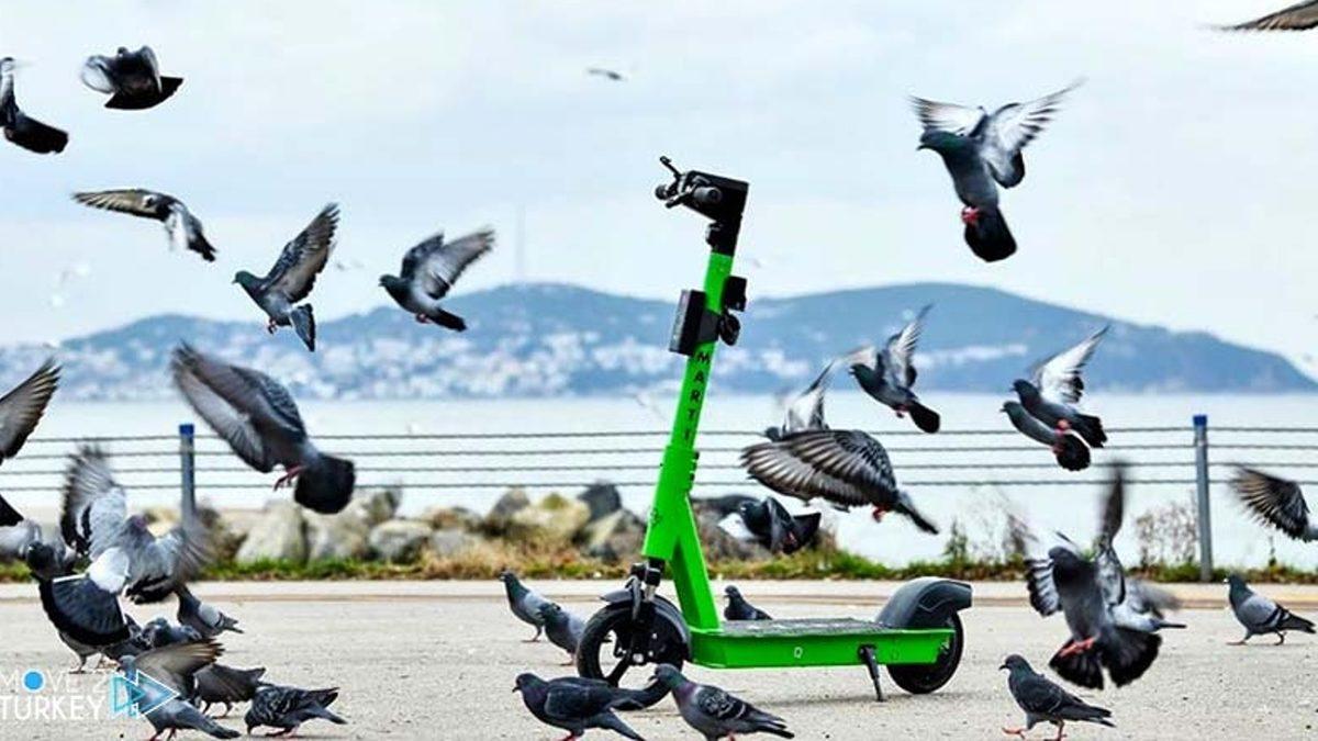 İstanbul’da Elektrikli Scooter Kullanımında Yeni Döneme Giriliyor: Kullanıcılara 2 Ayda Bir Eğitim Verilecek!