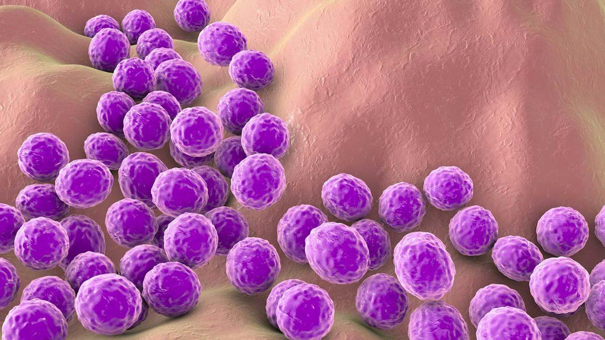 Bazı Hastalıkları Antibiyotik Kullanmadan Tedavi Etmenin Bir Yolu Bulundu